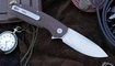 Petrified Fish PFB01 Terra PFB01BRS купить