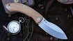 Petrified Fish PFB06 Zonda купить