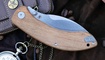 Petrified Fish Zonda PFB06OWOW продажа