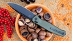 Складной нож RealSteel Huginn Tactical 7652GB Киев