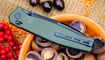 Складной нож RealSteel Huginn Tactical 7652GB Одесса
