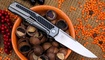 RealSteel Rokot Premium 7645B купить