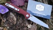 Складной нож Kizer Begleiter Mini V3458RN3 Одеса