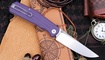 Petrified Fish PFP14 Lis Purple G10 купить