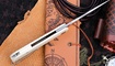Petrified Fish PFP07 White G10 купить в Украине