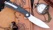 Petrified Fish PFE14 Rogue купить