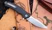 Petrified Fish Warrior PF949DS купить
