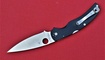 Spyderco Native Chief C244