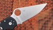 Spyderco Para 3 C223 G10