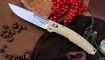 Складной нож Nimo Knives R12 Yellow заказать