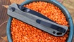 Складной нож Kizer Cutlery Begleiter 2 заказать