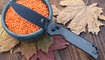 Нож Kizer Begleiter XL V5458C1 цена