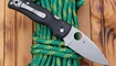 Spyderco Shaman C229 купить