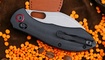 Trivisa Batwing Plus-BM продажа