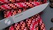 RealSteel Gslip Compact 7869 цена