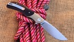 Petrified Fish PFP09SNWO Hourglass Snake Wood купить