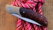 Petrified Fish PFP09SNWO Hourglass Snake Wood Ивано-Франковск