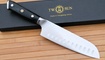 TwoSun TS933 купить
