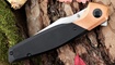 Kizer Grazioso V4572N1 купить