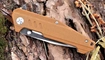 Petrified Fish PF713 купить