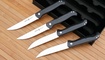 Kizer Begleiter Steak Knives