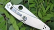 Нож Spyderco Police Full Serrated C07FS купить