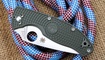 Spyderco Tenacious Lightweight Green FRN C122 Львов