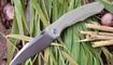Нож складной Bestech Knives Warwolf desert