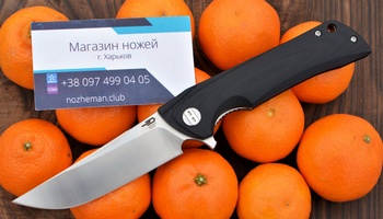 Нож Bestech Paladin