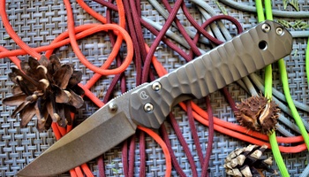 Нож складной Chris Reeve Large Sebenza 21 Wave Handle