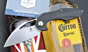 Нож Kizer Minitherium