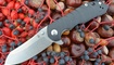 Нож Kizer Sovereign V4423A1