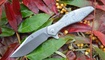 Нож Kizer Trifecta Ki5462A2