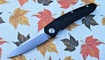 Нож Maxace Ptilopsis