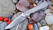 Нож Real Steel Megalodon Titanium 2017