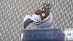 Нож-монета Serge Panchenko Coin Claw brown