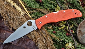 Нож Spyderco Endura 4 C10FP