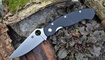Нож Spyderco Military C36