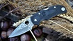 Нож Spyderco Native 5
