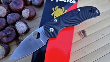 Нож Spyderco Native 5 C41