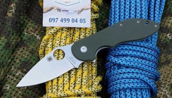 Spyderco Domino C172 Olive