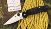 Spyderco Paramilitary 2 MagnaCut Salt Black G-10