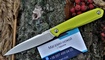 Туристический нож RealSteel Metamorph Fixed Fruit Green